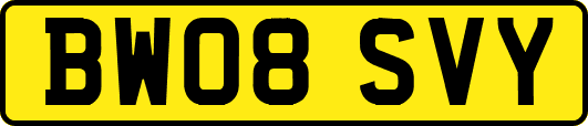 BW08SVY