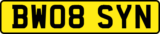 BW08SYN
