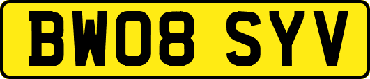 BW08SYV