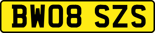 BW08SZS