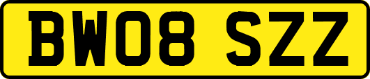 BW08SZZ