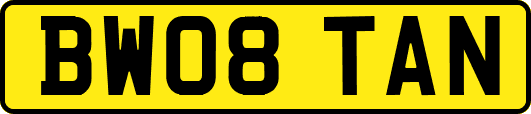 BW08TAN