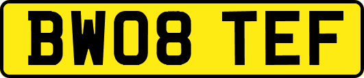 BW08TEF