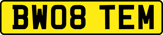 BW08TEM