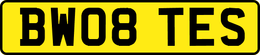 BW08TES