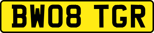 BW08TGR
