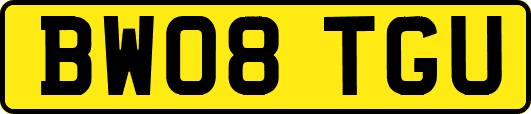 BW08TGU