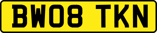 BW08TKN