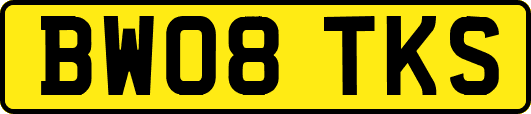 BW08TKS