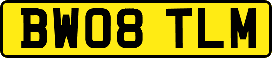 BW08TLM
