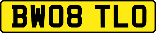 BW08TLO