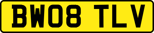 BW08TLV