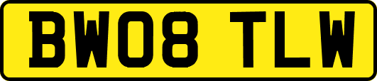BW08TLW