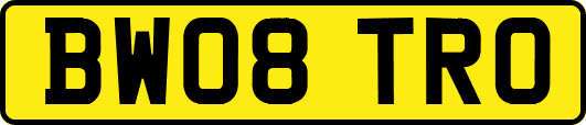 BW08TRO