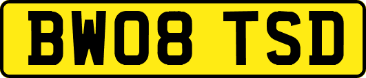 BW08TSD