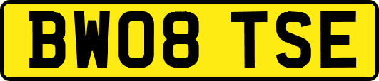 BW08TSE