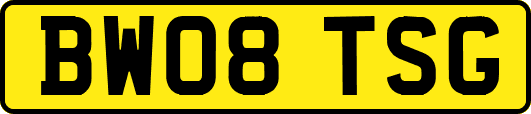 BW08TSG