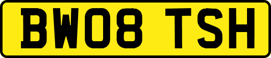 BW08TSH