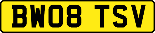 BW08TSV