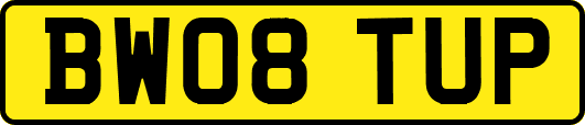 BW08TUP