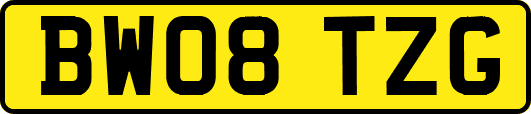 BW08TZG