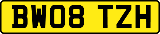 BW08TZH