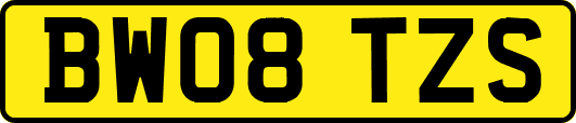 BW08TZS
