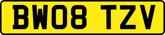 BW08TZV
