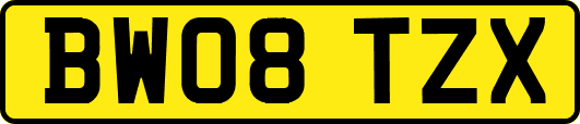 BW08TZX