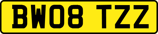 BW08TZZ