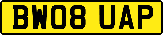 BW08UAP