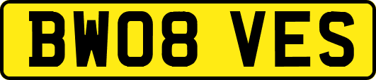 BW08VES