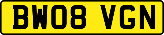 BW08VGN
