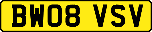 BW08VSV