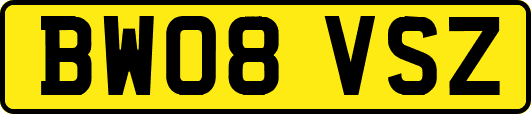 BW08VSZ
