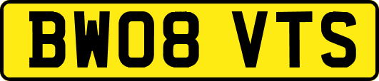 BW08VTS