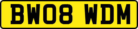 BW08WDM