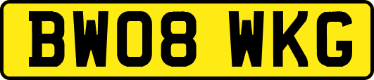 BW08WKG