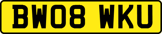 BW08WKU
