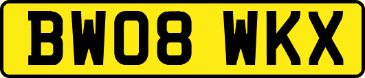 BW08WKX