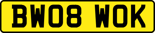 BW08WOK