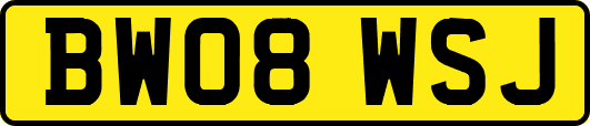 BW08WSJ