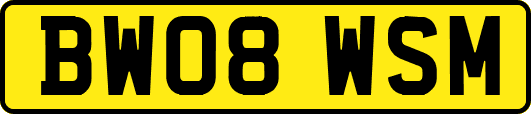 BW08WSM