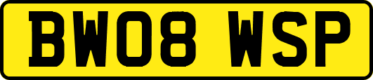 BW08WSP