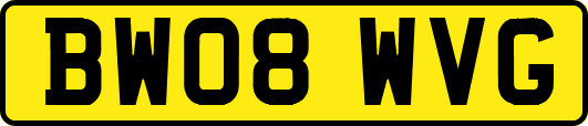 BW08WVG