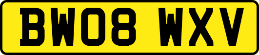 BW08WXV