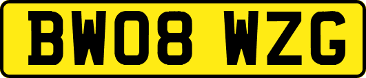 BW08WZG