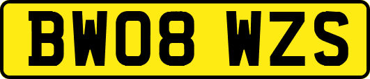 BW08WZS