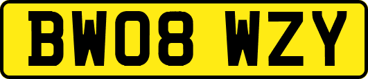 BW08WZY
