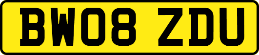 BW08ZDU